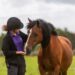 Understanding a Horse's Digestive System